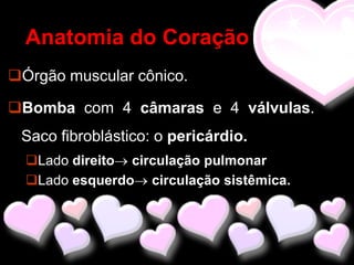 Anatomia do Coração
Órgão muscular cônico.

Bomba com 4 câmaras e 4 válvulas.
 Saco fibroblástico: o pericárdio.
  Lado direito circulação pulmonar
  Lado esquerdo circulação sistêmica.
 