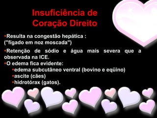 Insuficiência de
          Coração Direito
Resulta na congestão hepática :
("fígado em noz moscada")
Retenção de sódio e água mais severa que a
observada na ICE.
O edema fica evidente:
   edema subcutâneo ventral (bovino e eqüino)
   ascite (cães)
   hidrotórax (gatos).
 