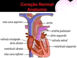 Coração Normal
   Anatomia




                 Ápice
 