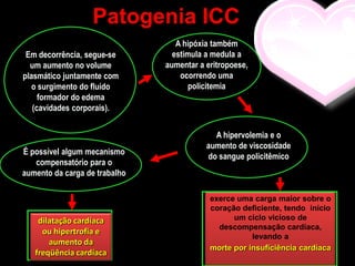 Patogenia ICC
                                  A hipóxia também
 Em decorrência, segue-se        estimula a medula a
  um aumento no volume         aumentar a eritropoese,
plasmático juntamente com          ocorrendo uma
   o surgimento do fluído            policitemia
     formador do edema
   (cavidades corporais).


                                            A hipervolemia e o
                                          aumento de viscosidade
É possível algum mecanismo
                                          do sangue policitêmico
   compensatório para o
aumento da carga de trabalho

                                           exerce uma carga maior sobre o
                                           coração deficiente, tendo início
    dilatação cardíaca                           um ciclo vicioso de
                                             descompensação cardíaca,
     ou hipertrofia e
                                                      levando a
       aumento da
                                           morte por insuficiência cardíaca
   freqüência cardíaca
 
