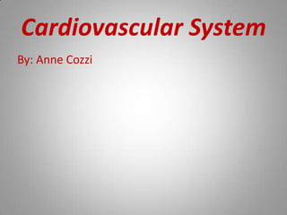 Cardiovascular System By: Anne Cozzi 