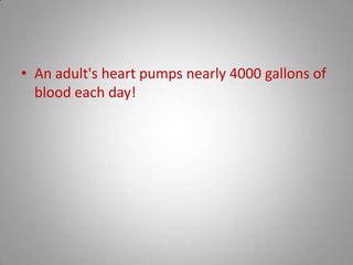 An adult's heart pumps nearly 4000 gallons of blood each day!