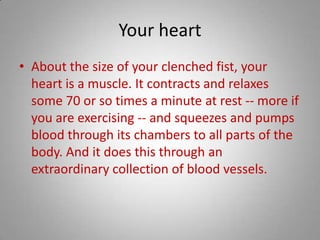 Your heartAbout the size of your clenched fist, your heart is a muscle. It contracts and relaxes some 70 or so times a minute at rest -- more if you are exercising -- and squeezes and pumps blood through its chambers to all parts of the body. And it does this through an extraordinary collection of blood vessels. 
