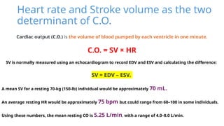 Arterial blood pressure regulation & C.O.P.(2).pptx