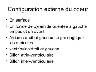 Configuration externe du coeur
• En surface
• En forme de pyramide orientée à gauche
  en bas et en avant
• Atriums droit et gauche se prolonge par
  les auricules
• ventricules droit et gauche
• Sillon atrio-ventriculaire
• Sillon inter-ventriculaire
 