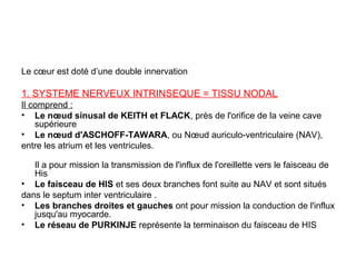Le cœur est doté d’une double innervation

1. SYSTEME NERVEUX INTRINSEQUE = TISSU NODAL
Il comprend :
• Le nœud sinusal de KEITH et FLACK, près de l'orifice de la veine cave
    supérieure
• Le nœud d'ASCHOFF-TAWARA, ou Nœud auriculo-ventriculaire (NAV),
entre les atrium et les ventricules.

   Il a pour mission la transmission de l'influx de l'oreillette vers le faisceau de
   His
• Le faisceau de HIS et ses deux branches font suite au NAV et sont situés
dans le septum inter ventriculaire .
• Les branches droites et gauches ont pour mission la conduction de l'influx
   jusqu'au myocarde.
• Le réseau de PURKINJE représente la terminaison du faisceau de HIS
 