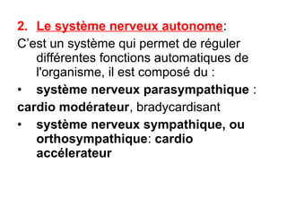 2. Le système nerveux autonome:
C’est un système qui permet de réguler
   différentes fonctions automatiques de
   l'organisme, il est composé du :
• système nerveux parasympathique :
cardio modérateur, bradycardisant
• système nerveux sympathique, ou
   orthosympathique: cardio
   accélerateur
 