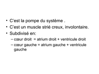 • C’est la pompe du système .
• C’est un muscle strié creux, involontaire.
• Subdivisé en:
  – cœur droit = atrium droit + ventricule droit
  – cœur gauche = atrium gauche + ventricule
    gauche
 
