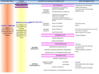RAMO PRINCIPAL RAMOS
COLATERALES
RAMOS COLATERALES-TERMINALES ZONA DE IRRIGACIÒN
AORTA ABDOMINAL
(se origina en el
orificio aórtico del
diafragma hasta la
cuarta vértebra
lumbar)
VISCERALES
TRONCO CELIACO
(se origina en la
cara anterior de
la aorta,
inmediatamente
por debajo del
diafragma, a la
altura de T11 o
T12)
ARTERIA HEPÀTICA
ARTERIA
ESPLENICA
ARTERIA
ESTOMAQUICA
COLATERALES
ARTERIA
GASTRO-
DUODENAL
ARTERIA
PILORICA
ARTERIA
CISTICA
PANCREÁTICA DUODENAL
DERECHA INFERIOR
GASTROEPIPLOICA DERECHA
PANCREÁTICA DUODENAL
DERECHA SUPERIOR
*nace antes de la bifurcación de la
pancreática duodenal y la gastroepiploica
derecha
RAMA ANTERIOR
RAMA POSTERIOR
RAMA DERECHA
RAMA IZQUIERDA
TERMINALES
RAMA DERECHA
RAMA IZQUIERDA
COLATERALES
ARTERIAS PANCREATICAS
ARTERIA GASTRO EPIPLOICA IZQUIERDA
ARTERIA DE LA TUBEROSIDAD MAYOR
TERMINALES
RAMOS TERMINALES
RAMOS CARDIO
ESOFAGICA
ANTERIOR
POSTERIOR
RAMOS GASTRICOS
RAMA ANTERIOR DE LA TUBEROSIDAD MAYOR
•Segunda porción del duodeno
•Cabeza del páncreas
•Curvaturas mayor del estomago
•Epiplón mayor
•Curvatura menor
•Piloro
•Cara inferior y borde derecho de la vesícula
•Cara inferior del hígado
•Borde izquierdo de la vesícula
•Lóbulos hepáticos
•Páncreas
•Curvatura mayor del estomago
•Epiplón mayor
•Cadena ganglionar esplénica
•Bazo
•Cardiad
•Extremidad inferior del esófago
•Estomago
•Curvatura mayor del estomago
 