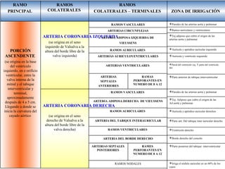 ZONA DE IRRIGACIÓN
RAMOS
COLATERALES – TERMINALES
RAMOS
COLATERALES
RAMO
PRINCIPAL
PORCIÓN
ASCENDENTE
(se origina en la base
del ventrículo
izquierdo, en e orificio
ventricular, entre la
valva interna de la
mitral y el tabique
interventricular y
terminal,
aproximadamente
después de 4 a 5 cm.
Llegando a donde se
inicia la curvatura del
cayado aórtico
ARTERIA CORONARIA DERECHA
(se origina en el seno
derecho de Valsalva a la
altura del borde libre de la
valva derecha)
ARTERIA CORONARIA IZQUIERDA
(se origina en el seno
izquierdo de Valsalva a la
altura del borde libre de la
valva izquierda)
ARTERIAS VENTRICULARES
ARTERIAS AURICULOVENTRICULARES
RAMOS AURICULARES
ARTERIA ADIPOSA IZQUIERDA DE
VIEUSSENS
ARTERIAS CIRCUNFLEJAS
RAMOS VASCULARES
ARTERIA DEL BORDE DERECHO
RAMOS VENTRICULARES
ARTERIA DEL TABIQUE INTERAURICULAR
RAMOS AURICULARES
ARTERIA ADIPOSA DERECHA DE VIEUSSENS
RAMOS VASCULARES
RAMAS
PERFORANTES EN
NUMERO DE 8 A 12
ARTERIAS
SEPTALES
ANTERIORES
RAMES
PERFORANTES EN
NUMERO DE 8 A 12
ARTERIAS SEPTALES
POSTERIORES
Parte anterior de tabique interventricular
Pared del ventrículo izq. Y parte del ventrículo
der.
Aurícula y ventrículo izquierdo
Aurícula y apéndice auricular izquierdo
Tej.adiposo que cubre el origen de las
arterias aorta y pulmonar
Ramos auriculares y ventriculares
Paredes de las arterias aorta y pulmonar
Irriga el nódulo auricular en un 60% de los
casos
Parte posterior del tabique interventricular
Borde derecho del corazón
Ventrículo derecho
Parte ant. Del tabique ínter auricular derecho
Aurícula y apéndice auricular derechos
Tej. Adiposo que cubre el origen de las
Art.aorta y pulmonar
Paredes de las arterias aorta y pulmonar
RAMOS NODALES
 