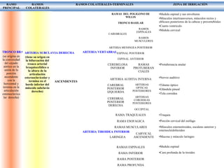 RAMO
PRINCIPAL
RAMOS
COLATERALES
RAMOS COLATERALES-TERMINALES ZONA DE IRRIGACIÒN
TRONCO BRAQUIOCEFALICO
(se origina en
la convexidad
del cayado
aórtico en la
unión de la
porción
ascendente
con la
horizontal y
termina en la
articulación
estemoclavicu
lar derecha)
ARTERIA SUBCLAVIA DERECHA
(tiene su origen en
la bifurcación del
tronco arterial
braquiocefálico a
la altura de la
articulación
esternoclavicular y
termina en el
borde inferior del
músculo subclavio
derecho)
ASCENDENTES
ARTERIA VERTABRAL
ARTERIA TIROIDEA INFERIOR
RAMAS DEL POLIGONO DE
WILLIS
TRONCO BASILAR
ARTERIAS
CAREBRALES
POSTERIORES
RAMOS
ESPINALES
RAMOS
MUSCULERES
ARTERIA MENINGEA POSTERIOR
ESPINAL POSTERIOR
ESPINAL ANTERIOR
CEREBELOSA
INFERIOR
RAMAS
PROTUBERAN
CIALES
ARTERIA AUDITIA INTERNA
CAREBRAL
POSTERIOR
IZQUIERDA
CEREBRAL
POSTERIOR
DERECHA
ARTERIAS
OPTICAS
POSTERIORES
ARTERIAS
COROIDEAS
POSTERIORES
OCCIPITAL
RAMA TRAQUEALES
RAMA ESOFAGICA
RAMAS MUSCULARES
RAMA
LARINGEA
POSTERIOR
CARVICAL
ASCENDENTE
RAMAS ESPINALES
RAMA INFERIOR
RAMA POSTERIOR
RAMA PROFUNDA
•Medula espinal y sus envolturas
•Músculos intertransversos, músculos rectos y
oblicuos posteriores de la cabeza y prevertebrales
•Cuarto ventrículo
•Médula cervical
•Protuberancia anular
•Nervio auditivo
•Tálamo óptico
•Glándula pineal
•Tela coroidea
•Traquea
•Porción cervical del esófago
•Músculos esternotiroides, escaleno anterior y
esternocleidohioideo
•Mucosa y músculo laringeo
•Medula espinal
•Cara profunda de la tiroides
 