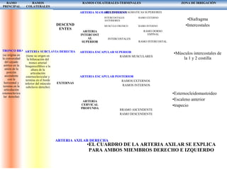 RAMO
PRINCIPAL
RAMOS
COLATERALES
RAMOS COLATERALES-TERMINALES ZONA DE IRRIGACIÒN
TRONCO BRAQUIOCEFALICO
(se origina en
la convexidad
del cayado
aórtico en la
unión de la
porción
ascendente
con la
horizontal y
termina en la
articulación
estemoclavicu
lar derecha)
ARTERIA SUBCLAVIA DERECHA
(tiene su origen en
la bifurcación del
tronco arterial
braquiocefálico a la
altura de la
articulación
esternoclavicular y
termina en el borde
inferior del músculo
subclavio derecho)
DESCEND
ENTES
EXTERNAS
ARTERIA AXILAR DERECHA
ARTERIA MAMARIA INTERNA
ARTERIA
INTERCOST
AL
SUPERIOR
ARTERIA ESCAPULAR SUPERIOR
ARTERIA ESCAPULAR POSTERIOR
ARTERIA
CERVICAL
PROFUNDA
ARTERIAS DIAFRAGMATICAS SUPERIORES
INTERCOSTALES
ANTERIORES
RAMO EXTERNO
MUSCULO FRENICO RAMO INTERNO
INTERCOSTALES
RAMO DORSO
ESPINAL
RAMO INTERCOSTAL
RAMOS MUSCULARES
RAMOS EXTERNOS
RAMOS INTERNOS
RRAMO ASCENDENTE
RAMO DESCENDENTE
•EL CUARDRO DE LA ARTERIA AXILAR SE EXPLICA
PARA AMBOS MIEMBROS DERECHO E IZQUIERDO
•Diafragma
•Intercostales
•Músculos intercostales de
la 1 y 2 costilla
•Esternocleidomastoideo
•Escaleno anterior
•trapecio
 