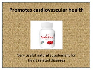 Promotes cardiovascular health
Very useful natural supplement for
heart related diseases
 