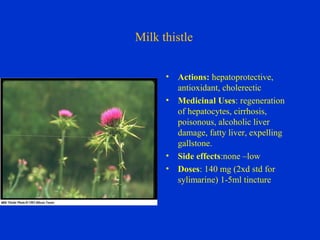 Milk thistle


      •   Actions: hepatoprotective,
          antioxidant, cholerectic
      •   Medicinal Uses: regeneration
          of hepatocytes, cirrhosis,
          poisonous, alcoholic liver
          damage, fatty liver, expelling
          gallstone.
      •   Side effects:none –low
      •   Doses: 140 mg (2xd std for
          sylimarine) 1-5ml tincture
 