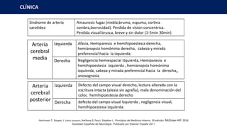 Sindrome de arteria
carotidea
Amaurosis fugaz (niebla,bruma, espuma, cortina
sombra,borrocidad). Perdida de vision concentrica.
Perdida visual brusca, breve y sin dolor (1-5min 30min)
Arteria
cerebral
media
Izquierda Afasia, Hemiparesia e hemihipoestesia derecha,
hemianopsia homónima derecha, cabeza y mirada
preferencial hacia la izquierda.
Derecha Negligencia hemiespacial Izquierda, Hemiparesia e
hemihipoestesia izquierda , hemianopsia homónima
izquierda, cabeza y mirada preferencial hacia la derecha,,
anosognosia
CLÍNICA
Arteria
cerebral
posterior
Izquierda Defecto del campo visual derecho, lectura alterada con la
escritura intacta (alexia sin agrafia), mala denominación del
color, hemihipoestesia derecho
Derecha defecto del campo visual Izquierda , negligencia visual,
hemihipoestesia izquierda
Sociedad Española de Neurología. Publicado por Elsevier España 2011
Harrinson T, Kasper, J. Larry Jameson, Anthony S. Fauci, Stephen L. Principios de Medicina Interna. 19 edición. McGraw-Hill. 2016
 