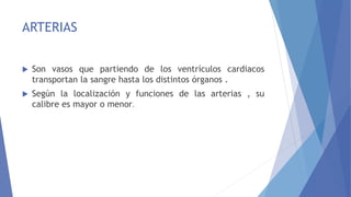 ARTERIAS
 Son vasos que partiendo de los ventrículos cardiacos
transportan la sangre hasta los distintos órganos .
 Según la localización y funciones de las arterias , su
calibre es mayor o menor.
 