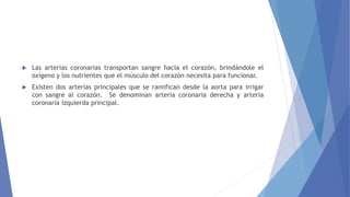  Las arterias coronarias transportan sangre hacia el corazón, brindándole el
oxígeno y los nutrientes que el músculo del corazón necesita para funcionar.
 Existen dos arterias principales que se ramifican desde la aorta para irrigar
con sangre al corazón. Se denominan arteria coronaria derecha y arteria
coronaria izquierda principal.
 