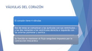 VÁLVULAS DEL CORAZÓN
El corazón tiene 4 válvulas
Dos de estas se comunican a las aurículas con sus ventrículos ,
y las dos restantes a los ventrículos derecho e izquierdo con
las arterias pulmonar y aortica .
Su función es mantener el flujo sanguíneo impuesto por la
contracción miocárdica
 