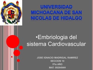 JOSE IGNACIO MADRIGAL RAMIREZ
SECCION 10
5ºto AÑO
MAT: 0926494H
•Embriologia del
sistema Cardiovascular
 