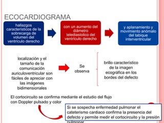 ECOCARDIOGRAMA
hallazgos
característicos de la
sobrecarga de
volumen del
ventrículo derecho
con un aumento del
diámetro
telediastolico del
ventrículo derecho
y aplanamiento y
movimiento anómalo
del tabique
interventricular
localización y el
tamaño de la
comunicación
auriculoventricular son
fáciles de apreciar con
las imágenes
bidimensionales
Se
observa
brillo característico
de la imagen
ecográfica en los
bordes del defecto
El cortocircuito se confirma mediante el estudio del flujo
con Doppler pulsado y color
Si se sospecha enfermedad pulmonar el
cateterismo cardiaco confirma la presencia del
defecto y permite medir el cortocircuito y la presión
 