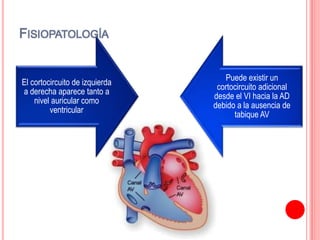 El cortocircuito de izquierda
a derecha aparece tanto a
nivel auricular como
ventricular
Puede existir un
cortocircuito adicional
desde el VI hacia la AD
debido a la ausencia de
tabique AV
FISIOPATOLOGÍA
 