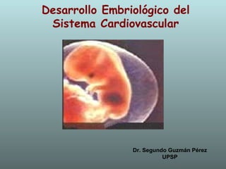 Desarrollo Embriológico del Sistema Cardiovascular Dr. Segundo Guzmán Pérez UPSP 