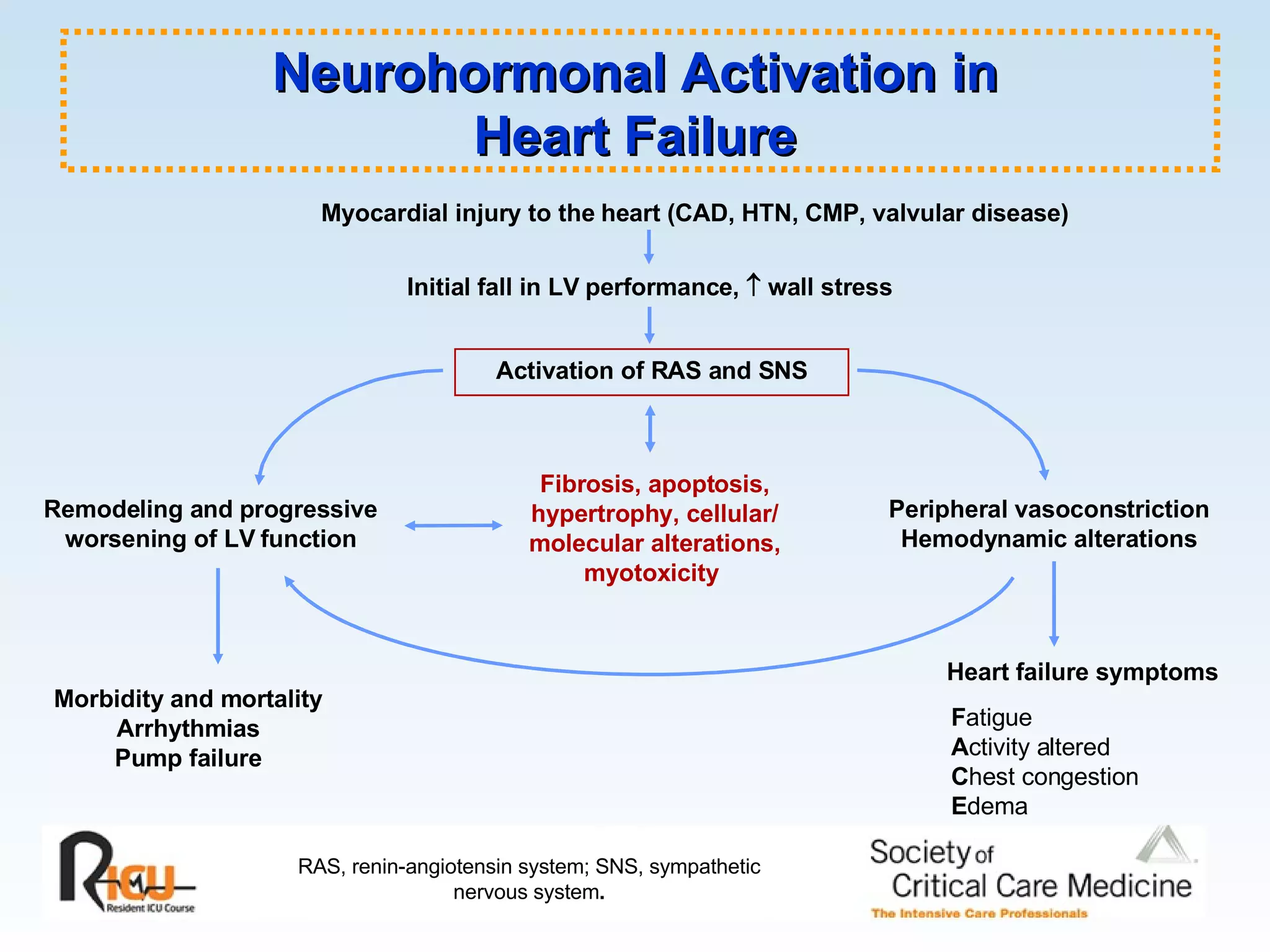 Myocardial injury to the heart (CAD, HTN, CMP, valvular disease)  Morbidity and mortality Arrhythmias Pump failure Peripheral vasoconstriction Hemodynamic alterations Heart failure symptoms Remodeling and progressive worsening of LV function Initial fall in LV performance,    wall stress Activation of RAS and SNS Fibrosis, apoptosis, hypertrophy, cellular/ molecular alterations, myotoxicity  F atigue A ctivity altered  C hest congestion E dema S hortness of breath Neurohormonal Activation in Heart Failure RAS, renin-angiotensin system; SNS, sympathetic nervous system . 