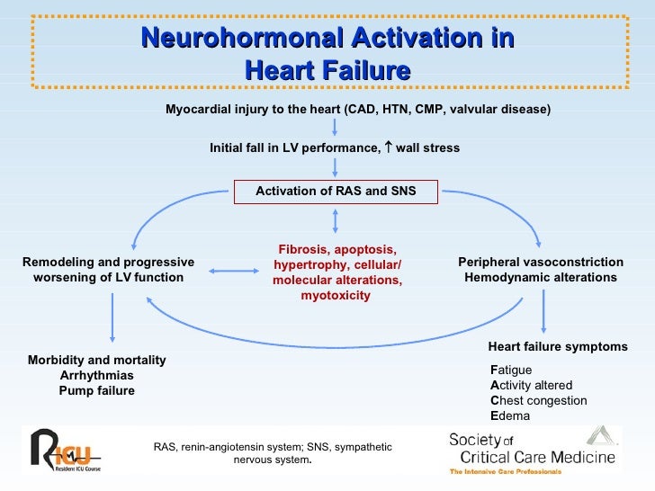 cardiogenic shock due to myocardial
