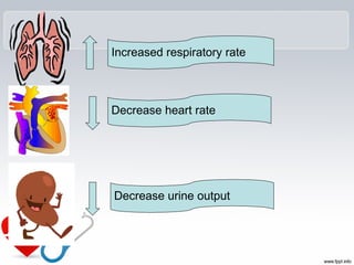Increased respiratory rate
Decrease heart rate
Decrease urine output
 