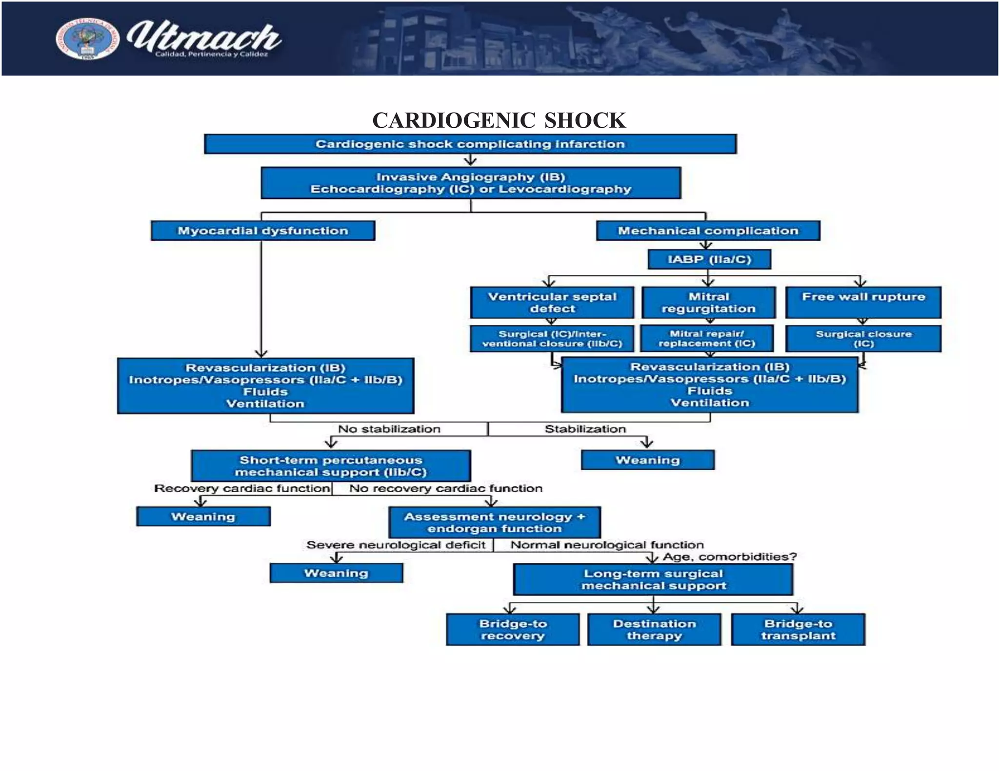 CARDIOGENIC SHOCK
 
