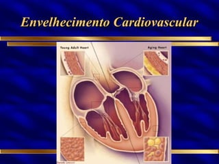 Envelhecimento Cardiovascular 