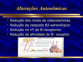 Alterações Autonômicas Redução dos níveis de catecolaminas Redução da resposta B2-adrenérgica Redução no nº de B-receptores Redução da afinidade do B- receptor 