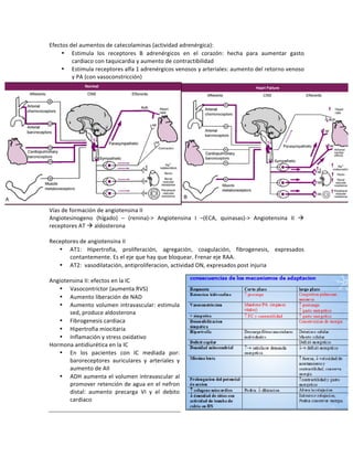 Efectos!del!aumentos!de!catecolaminas!(actividad!adrenérgica):!
• Estimula! los! receptores! B! adrenérgicos! en! el! corazón:! hecha! para! aumentar! gasto!
cardiaco!con!taquicardia!y!aumento!de!contractibilidad!
• Estimula!receptores!alfa!1!adrenérgicos!venosos!y!arteriales:!aumento!del!retorno!venoso!
y!PA!(con!vasoconstricción)!
Vías!de!formación!de!angiotensina!II!
Angiotesinogeno! (hígado)! –! (renina)P>! Angiotensina! I! –(ECA,! quinasas)P>! Angiotensina! II! !!
receptores!AT!!!aldosterona!!
!
Receptores!de!angiotensina!II!
• AT1:! Hipertrofia,! proliferación,! agregación,! coagulación,! fibrogenesis,! expresados!
contantemente.!Es!el!eje!que!hay!que!bloquear.!Frenar!eje!RAA.!!
• AT2:!!vasodilatación,!antiproliferacion,!actividad!ON,!expresados!post!injuria!
!
Angiotensina!II:!efectos!en!la!IC!
• Vasocontrictor!(aumenta!RVS)!
• Aumento!liberación!de!NAD!
• Aumento!volumen!intravascular:!estimula!
sed,!produce!aldosterona!
• Fibrogenesis!cardiaca!
• Hipertrofia!miocitaria!
• Inflamación!y!stress!oxidativo!!
Hormona!antidiurética!en!la!IC!
• En! los! pacientes! con! IC! mediada! por:!
baroreceptores! auriculares! y! arteriales! y!
aumento!de!AII!
• ADH!aumenta!el!volumen!intravascular!al!
promover!retención!de!agua!en!el!nefron!
distal:! aumento! precarga! VI! y! el! debito!
cardiaco!!
!
 
