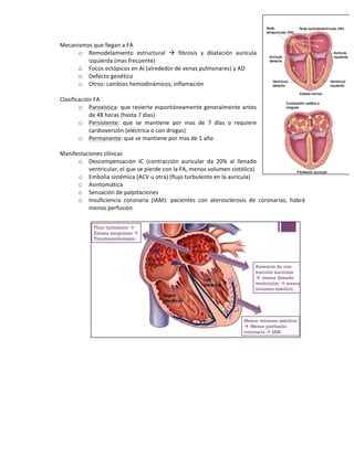 Mecanismos)que)llegan)a)FA)
o Remodelamiento) estructural) !) fibrosis) y) dilatación) aurícula)
izquierda)(mas)frecuente)))
o Focos)ectópicos)en)AI)(alrededor)de)venas)pulmonares))y)AD)
o Defecto)genético)
o Otros:)cambios)hemodinámicos,)inflamación))
)
Clasificación)FA)
o Paroxística:)que)revierte)espontáneamente)generalmente)antes)
de)48)horas)(hasta)7)días))
o Persistente:) que) se) mantiene) por) mas) de) 7) días) o) requiere)
cardioversión)(eléctrica)o)con)drogas))
o Permanente:)que)se)mantiene)por)mas)de)1)año)
)
Manifestaciones)clínicas)
o Descompensación) IC) (contracción) auricular) da) 20%) al) llenado)
ventricular,)el)que)se)pierde)con)la)FA,)menos)volumen)sistólico))
o Embolia)sistémica)(ACV)u)otra))(flujo)turbulento)en)la)aurícula))
o Asintomática)
o Sensación)de)palpitaciones)
o Insuficiencia) coronaria) (IAM):) pacientes) con) aterosclerosis) de) coronarias,) habrá)
menos)perfusión)
)
)
)
)
)
)
)
)
)
)
)
)
)
)
)
)
)
)
)
)
)
)
)
)
)
)
 