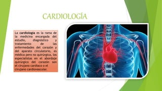 CARDIOLOGÍA
La cardiología es la rama de
la medicina encargada del
estudio, diagnóstico y
tratamiento de las
enfermedades del corazón y
del aparato circulatorio, es
médica pero no quirúrgica, los
especialistas en el abordaje
quirúrgico del corazón son
el cirujano cardiaco o el
cirujano cardiovascular.
 