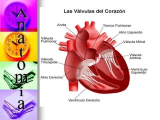 Cardiologia0i11