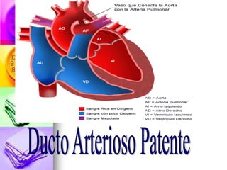 Cardiologia0i11