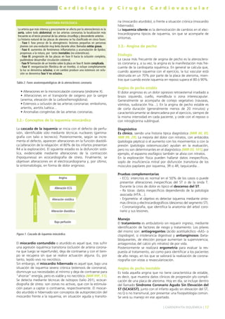C a r d i o l o g í a y C i r u g í a C a r d i o v a s c u l a r 
ANATOMÍA PATOLÓGICA 
• Alteraciones en la microcirculación coronaria (síndrome X). 
• Alteraciones en el transporte de oxígeno por la sangre 
(anemia, elevación de la carboxihemoglobina). 
• Estenosis u oclusión de las arterias coronarias: embolismo, 
arteritis, aortitis luética… 
• Anomalías congénitas de las arterias coronarias. 
3.2.- Conceptos de la isquemia miocárdica 
La cascada de la isquemia se inicia con el defecto de perfu-sión, 
identificable sólo mediante técnicas nucleares (gamma-grafía 
con talio o tecnecio). Posteriormente, según se incre-menta 
el defecto, aparecen alteraciones en la función diastóli-ca 
(alteración de la relajación: el 80% de los infartos presentan 
R4 a la exploración). El siguiente estadio es la disfunción sistó-lica, 
evidenciable mediante alteraciones de la contracción 
(hipoquinesia) en ecocardiografía de stress. Finalmente, se 
objetivan alteraciones en el electrocardiograma y, por último, 
la sintomatología, en forma de dolor anginoso. 
El miocardio contundido o aturdido es aquel que, tras sufrir 
una agresión isquémica transitoria (oclusión de arteria corona-ria 
que luego se reperfunde), deja de contraerse y con el tiem-po 
se recupera sin que se realice actuación alguna. Es, por 
tanto, tejido vivo no necrótico. 
Sin embargo, el miocardio hibernado es aquel que, bajo una 
situación de isquemia severa crónica (estenosis de coronaria), 
disminuye sus necesidades al mínimo y deja de contraerse para 
"ahorrar" energía, pero es viable y no necrótico (MIR 99F, 51). 
Se detecta mediante técnicas de isótopos (talio 201), ecocar-diografía 
de stress: son zonas no activas, que con la estimula-ción 
pasan a captar o contraerse, respectivamente. El miocar-dio 
aturdido e hibernado son conceptos de autoprotección del 
miocardio frente a la isquemia, en situación aguda y transito-ria 
(miocardio aturdido), o frente a situación crónica (miocardio 
hibernado). 
La isquemia silente es la demostración de cambios en el elec-trocardiograma 
típicos de isquemia, sin que se acompañe de 
síntomas. 
3.3.- Angina de pecho 
Etiología 
La causa más frecuente de angina de pecho es la aterosclero-sis 
coronaria y, a su vez, la angina es la manifestación más fre-cuente 
de la cardiopatía isquémica. En general se calcula que, 
cuando aparece isquemia con el ejercicio, la luz vascular está 
obstruida en un 70% por parte de la placa de ateroma, mien-tras 
que cuando existe isquemia en reposo supera el 80 ó 90%. 
Angina de pecho estable 
El dolor anginoso es un dolor opresivo retroesternal irradiado a 
brazo izquierdo, cuello, mandíbula o zona interescapular. 
Generalmente se acompaña de cortejo vegetativo (náuseas, 
vómitos, sudoración fría…). En la angina de pecho estable es 
de corta duración (generalmente menos de 20 minutos) y 
característicamente se desencadena por el ejercicio, siempre de 
la misma intensidad en cada paciente, y cede con el reposo o 
con nitroglicerina sublingual. 
Diagnóstico 
Es clínico, siendo una historia típica diagnóstica (MIR 00, 85; 
MIR 99, 29). La mejoría del dolor con nitratos, con antiácidos 
(patología péptica) o el aumento con los movimientos o con la 
presión (patología osteomuscular) ayudan en la evaluación, 
pero no son determinantes en el diagnóstico (MIR 03, 101); por 
ejemplo, el espasmo esofágico también se alivia con nitratos. 
En la exploración física pueden hallarse datos inespecíficos, 
soplo de insuficiencia mitral por disfunción transitoria de los 
músculos papilares por isquemia, 3R o 4R, taquicardia… 
Pruebas complementarias 
- ECG: intercrisis es normal en el 50% de los casos o puede 
presentar alteraciones inespecíficas del ST o de la onda T. 
Durante la crisis de dolor es típico el descenso del ST. 
- Rx tórax: datos inespecíficos dependiendo de la patología 
asociada (HTA…). 
- Ergometría: el objetivo es detectar isquemia mediante sínto-mas 
clínicos y electrocardiográficos (descenso del segmento ST). 
- Coronariografía, que identifica la anatomía del árbol coro-nario 
y sus lesiones. 
Manejo 
El tratamiento es ambulatorio sin requerir ingreso, mediante 
identificación de factores de riesgo y tratamiento. Los pilares 
del mismo son: antiagregantes (ácido acetilsalicílico -AAS- o 
clopidogrel, si intolerancia digestiva) y antianginosos (beta-bloqueantes, 
de elección porque aumentan la superviviencia, 
antagonistas del calcio y/o nitratos) de por vida. 
Posteriormente se realizará ergometría para evaluar la res-puesta 
al tratamiento, así como para identificar a los pacientes 
de alto riesgo, en los que se valorará la realización de corona-riografía 
con vistas a revascularización. 
Angina de pecho inestable 
Es toda aquella angina que no tiene característica de estable, 
es decir, que muestra datos clínicos de progresión y/o compli-cación 
de una placa de ateroma. Hoy en día, se incluye dentro 
del llamado Síndrome Coronario Agudo Sin Elevación del 
ST (SCASEST), junto con el infarto agudo sin elevación del ST, 
no Q o no transmural, por presentar una fisiopatología común. 
Se verá su manejo en ese apartado. 
] CARDIOPATÍA ISQUÉMICA [ 17 
La arteria que más intensa y precozmente se afecta por la aterosclerosis es la 
aorta, sobre todo abdominal; en las arterias coronarias la localización más 
frecuente es el tercio proximal de las arterias circunfleja y descendente anterior. 
La historia natural de las placas de ateroma se ha clasificado en cinco fases: 
- Fase I: fase precoz de la aterogénesis: lesiones pequeñas en personas 
jóvenes con una evolución muy lenta durante años: llamadas estrías grasas. 
- Fase II: aumentos de fenómenos inflamatorios y acumulación de lípidos; 
propensas a la rotura, por tanto inestables (no estenóticas). 
- Fase III: progresión de las placas en fase II hacia la oclusión completa, 
pudiéndose desarrollar circulación colateral. 
- Fase IV formación de un trombo sobre la placa en fase II: lesión complicada. 
- Fase V: reorganización fibrótica de un trombo, si ocluye completamente 
la luz se denomina oclusiva; si en cambio produce una estenosis sin oclu-sión 
se denomina fase V no oclusiva. 
Tabla 2. Fases anatomopatológicas de la aterosclerosis coronaria. 
Angina 
Alteración ECG 
Alteración sistólica 
Alteración diastólica 
Baja perfusión 
Isquemia 
Figura 1. Cascada de isquemia miocárdica. 
 