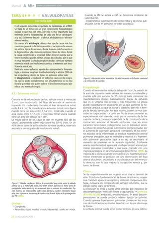 Manual A Mir www.academiamir.com 
TEMA 4 VALVULOPATÍAS 
4.1.- Estenosis mitral 
Consiste en la reducción del orificio valvular mitral a menos de 
2 cm2, con obstrucción del flujo de entrada al ventrículo 
izquierdo. En condiciones normales, el área de apertura mitral 
es de 4 a 6 cm2. Se considera una estenosis mitral como ligera 
cuando tiene un área entre 1,5-2 cm2, moderada cuando el 
área oscila entre 1-1,5 cm2 y estenosis mitral severa cuando 
tiene un área por debajo de 1 cm2. 
La mayor parte de los casos se dan en mujeres (2/3 de los 
casos), apareciendo sobre todo sobre los 30-40 años. En un 
40% de los casos la lesión valvular es mixta (es decir, estenosis 
asociada a cierto grado de insuficiencia mitral). 
M 
P 
A 
T 
Etiología 
- Congénita. 
- Reumática (con mucho la más frecuente): suele ser mixta. 
Cuando la EM se asocia a CIA se denomina síndrome de 
Lutembacher. 
- Degenerativa: calcificación del anillo mitral y de zonas sub-anulares 
(se da en personas de edad avanzada). 
Fisiopatología 
Cuando el área valvular está por debajo de 1 cm2, la presión de 
la aurícula izquierda suele elevase de manera considerable y 
cuando está por encima de 25 mmHg suele comenzar las 
manifestaciones clínicas (habitualmente disnea de esfuerzo 
que es el síntoma más precoz y más frecuente). La clínica 
puede exacerbarse en situaciones en las que aumente la fre-cuencia 
cardíaca, ya que se acorta la diástole y con ello el tiem-po 
de llenado ventricular. Por este motivo, suelen ser mal tole-radas 
las taquicardias. La caída en FA de estos pacientes es 
especialmente mal tolerada, tanto por el aumento de la fre-cuencia 
cardíaca como por la pérdida de la contribución de la 
contracción auricular al llenado ventricular, que en estos 
pacientes tiene mayor protagonismo que en individuos sanos. 
La rotura de pequeñas venas pulmonares, congestionadas por 
el aumento de la presión, producirá hemoptisis. En los prime-ros 
estadios de la enfermedad se produce hipertensión arterial 
pulmonar precapilar, que es reversible y reactiva a la hiperten-sión 
pulmonar postcapilar (que a su vez es secundaria al 
aumento de presiones en la aurícula izquierda). Conforme 
avanza la enfermedad, aparecerá una hipertensión arterial pul-monar 
precapilar irreversible y que suele coincidir con una 
mejoría paradójica en la sintomatología del enfermo (MIR). La 
mejoría de la disnea cuando se establece una hipertensión pul-monar 
irreversible se produce por una disminución del flujo 
arterial al pulmón, secundario a una claudicación del ventrícu-lo 
derecho, con lo que mejora la congestión venosa y, por 
tanto, la disnea. 
Clínica 
Se da mayoritariamente en mujeres en el cuarto decenio de 
vida. El síntoma fundamental es la disnea de esfuerzo progre-siva. 
También aparece hemoptisis y síntomas compresivos (dis-fagia, 
ronquera por compresión del laríngeo recurrente, que se 
conoce como signo de Ortner). 
La evolución es lenta y puede verse alterada por episodios de 
descompensación: infección (fiebre y taquicardia), FA (MIR 03, 
90; MIR 00, 86), embarazo, embolismos etc. En estas descom-pensaciones 
se puede producir edema agudo de pulmón. 
Cuando aparece hipertensión pulmonar comienzan los sínto-mas 
de insuficiencia ventricular derecha, con lo que disminuye 
la disnea. 
La embolia arterial puede ser el primer síntoma en una esteno- 
26 ] VALVULOPATÍAS [ 
ENFOQUE MIR 
Es el segundo tema más preguntado de Cardiología en el MIR. 
Se trata de un tema con un gran componente fisiopatológico 
(quizás el que más del MIR), por ello es muy importante que 
entiendas bien la fisiopatología de cada una de las valvulopatí-as 
y así, fácilmente deducir la clínica, el diagnóstico y el trata-miento 
médico. 
En cuanto a la etiología, debes saber que la causa más fre-cuente 
en general es la fiebre reumática, excepto en la esteno-sis 
aórtica, típica de ancianos, donde la causa más frecuente es 
la degenerativa, y la estenosis pulmonar, típica de niños, donde 
la causa congénita es la principal. Debes tener en cuenta que la 
fiebre reumática puede afectar a todas las válvulas, por lo que 
es muy frecuente la afectación plurivalvular, como por ejemplo 
estenosis mitral con insuficiencia aórtica, la estenosis con insu-ficiencia 
mitral, etc. 
Dedica tu mayor esfuerzo, aparte de a comprender la fisiopato-logía, 
a dominar muy bien la válvula mitral y la aórtica (99% de 
las preguntas) y, dentro de éstas, las estenosis sobre todo. 
El diagnóstico se realizará en todos los casos con la ecogra-fía, 
que se podrá complementar con el cateterismo (si no está 
clara la gravedad o se quiere valorar el árbol coronario para pla-nificar 
una eventual cirugía). 
Figura 1. Válvulas cardíacas. Nótese la proximidad que existe entre la válvula 
aórtica (A) y la mitral (M). Esta zona entre ambas válvulas se llama zona de 
contigüidad mitro-aórtica y es atravesada por el sistema de conducción. Por 
este motivo, las endocarditis, sobre todo aórticas, pueden extenderse hacia 
esta zona y provocar trastornos de conducción (lo más típico es la prolongación 
del PR) (MIR). 
Figura 2. Afectación mitral reumática. Lo más frecuente en la fusión comisural 
y la retracción de cuerdas. 
 
