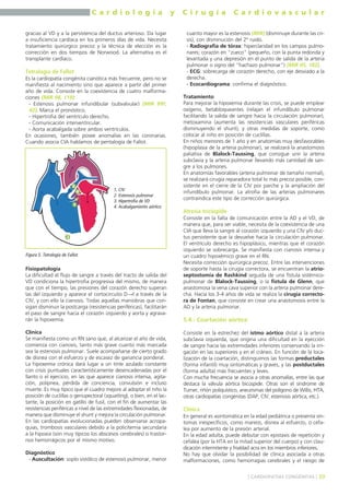 C a r d i o l o g í a y C i r u g í a C a r d i o v a s c u l a r 
gracias al VD y a la persistencia del ductus arterioso. Da lugar 
a insuficiencia cardíaca en los primeros días de vida. Necesita 
tratamiento quirúrgico precoz y la técnica de elección es la 
corrección en dos tiempos de Norwood. La alternativa es el 
transplante cardíaco. 
Tetralogía de Fallot 
Es la cardiopatía congénita cianótica más frecuente, pero no se 
manifiesta al nacimiento sino que aparece a partir del primer 
año de vida. Consiste en la coexistencia de cuatro malforma-ciones 
(MIR 98, 119): 
- Estenosis pulmonar infundibular (subvalvular) (MIR 99F, 
42). Marca el pronóstico. 
- Hipertrofia del ventrículo derecho. 
- Comunicación interventricular. 
- Aorta acabalgada sobre ambos ventrículos. 
En ocasiones, también posee anomalías en las coronarias. 
Cuando asocia CIA hablamos de pentalogía de Fallot. 
Fisiopatología 
La dificultad al flujo de sangre a través del tracto de salida del 
VD condiciona la hipertrofia progresiva del mismo, de manera 
que con el tiempo, las presiones del corazón derecho superan 
las del izquierdo y aparece el cortocircuito D→I a través de la 
CIV, y con ello la cianosis. Todas aquellas maniobras que con-sigan 
disminuir la postcarga (resistencias periféricas), facilitarán 
el paso de sangre hacia el corazón izquierdo y aorta y agrava-rán 
la hipoxemia. 
Clínica 
Se manifiesta como un RN sano que, al alcanzar el año de vida, 
comienza con cianosis, tanto más grave cuanto más marcada 
sea la estenosis pulmonar. Suele acompañarse de cierto grado 
de disnea con el esfuerzo y de escasez de ganancia ponderal. 
La hipoxemia crónica dará lugar a un tinte azulado constante 
con crisis puntuales característicamente desencadenadas por el 
llanto o el ejercicio, en las que aparece cianosis intensa, agita-ción, 
polipnea, pérdida de conciencia, convulsión e incluso 
muerte. Es muy típico que el cuadro mejore al adoptar el niño la 
posición de cuclillas o genupectoral (squatting), o bien, en el lac-tante, 
la posición en gatillo de fusil, con el fin de aumentar las 
resistencias periféricas a nivel de las extremidades flexionadas, de 
manera que disminuye el shunt y mejora la circulación pulmonar. 
En las cardiopatías evolucionadas pueden observarse acropa-quias, 
trombosis vasculares debido a la policitemia secundaria 
a la hipoxia (son muy típicos los abscesos cerebrales) o trastor-nos 
hemorrágicos por el mismo motivo. 
Diagnóstico 
- Auscultación: soplo sistólico de estenosis pulmonar, menor 
cuanto mayor es la estenosis (MIR) (disminuye durante las cri-sis), 
con disminución del 2º ruido. 
- Radiografía de tórax: hiperclaridad en los campos pulmo-nares; 
corazón en "zueco" (pequeño, con la punta redonda y 
levantada y una depresión en el punto de salida de la arteria 
pulmonar o signo del "hachazo pulmonar") (MIR 05, 182). 
- ECG: sobrecarga de corazón derecho, con eje desviado a la 
derecha. 
- Ecocardiograma: confirma el diagnóstico. 
Tratamiento 
Para mejorar la hipoxemia durante las crisis, se puede emplear 
oxígeno, betabloqueantes (relajan el infundíbulo pulmonar 
facilitando la salida de sangre hacia la circulación pulmonar), 
metoxamina (aumenta las resistencias vasculares periféricas 
disminuyendo el shunt), y otras medidas de soporte, como 
colocar al niño en posición de cuclillas. 
En niños menores de 1 año y en anatomías muy desfavorables 
(hipoplasia de la arteria pulmonar), se realizará la anastomosis 
paliativa de Blalock-Taussing, que consigue unir la arteria 
subclavia y la arteria pulmonar llevando más cantidad de san-gre 
a los pulmones. 
En anatomías favorables (arteria pulmonar de tamaño normal), 
se realizará cirugía reparadora total lo más precoz posible, con-sistente 
en el cierre de la CIV por parche y la ampliación del 
infundíbulo pulmonar. La atrofia de las arterias pulmonares 
contraindica este tipo de corrección quirúrgica. 
Atresia tricúspide 
Consiste en la falta de comunicación entre la AD y el VD, de 
manera que, para ser viable, necesita de la coexistencia de una 
CIA que lleva la sangre al corazón izquierdo y una CIV y/o duc-tus 
persistente que la devuelve hacia la circulación pulmonar. 
El ventrículo derecho es hipoplásico, mientras que el corazón 
izquierdo se sobrecarga. Se manifiesta con cianosis intensa y 
un cuadro hipoxémico grave en el RN. 
Necesita corrección quirúrgica precoz. Entre las intervenciones 
de soporte hasta la cirugía correctora, se encuentran la atrio-septostomía 
de Rashkind seguida de una fístula sistémico-pulmonar 
de Blalock-Taussing, o la fístula de Glenn, que 
anastomosa la vena cava superior con la arteria pulmonar dere-cha. 
Hacia los 3-4 años de vida se realiza la cirugía correcto-ra 
de Fontan, que consiste en crear una anastomosis entre la 
AD y la arteria pulmonar. 
5.4.- Coartación aórtica 
Consiste en la estrechez del istmo aórtico distal a la arteria 
subclavia izquierda, que origina una dificultad en la eyección 
de sangre hacia las extremidades inferiores conservando la irri-gación 
en las superiores y en el cráneo. En función de la loca-lización 
de la coartación, distinguimos las formas preductales 
(forma infantil) muy sintomáticas y graves, y las postductales 
(forma adulta) más frecuentes y leves. 
Con mucha frecuencia se asocia a otras anomalías, entre las que 
destaca la válvula aórtica bicúspide. Otras son el síndrome de 
Turner, riñón poliquístico, aneurismas del polígono de Willis, HTA, 
otras cardiopatías congénitas (DAP, CIV, estenosis aórtica, etc.). 
Clínica 
En general es asintomática en la edad pediátrica o presenta sín-tomas 
inespecíficos, como mareos, disnea al esfuerzo, o cefa-lea 
por aumento de la presión arterial. 
En la edad adulta, puede debutar con epistaxis de repetición y 
cefalea (por la HTA en la mitad superior del cuerpo) y con clau-dicación 
intermitente y frialdad acra en los miembros inferiores. 
No hay que olvidar la posibilidad de clínica asociada a otras 
malformaciones, como hemorragias cerebrales y el riesgo de 
] CARDIOPATÍAS CONGÉNITAS [ 39 
Figura 5. Tetralogía de Fallot. 
1. CIV 
2. Estenosis pulmonar 
3. Hipertrofia de VD 
4. Acabalgamiento aórtico 
 