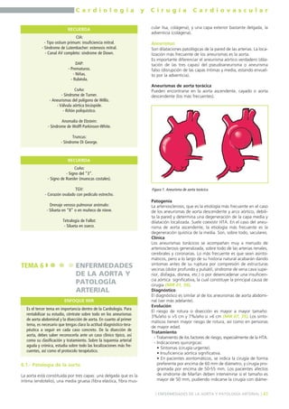 C a r d i o l o g í a y C i r u g í a C a r d i o v a s c u l a r 
] ENFERMEDADES DE LA AORTA Y PATOLOGÍA ARTERIAL [ 41 
RECUERDA 
RECUERDA 
6.1.- Patología de la aorta 
La aorta está constituida por tres capas: una delgada que es la 
íntima (endotelio), una media gruesa (fibra elástica, fibra mus-cular 
lisa, colágena), y una capa exterior bastante delgada, la 
adventicia (colágena). 
Aneurismas 
Son dilataciones patológicas de la pared de las arterias. La loca-lización 
más frecuente de los aneurismas es la aorta. 
Es importante diferenciar el aneurisma aórtico verdadero (dila-tación 
de las tres capas) del pseudoaneurisma o aneurisma 
falso (disrupción de las capas íntimas y media, estando envuel-to 
por la adventicia). 
Aneurismas de aorta torácica 
Pueden encontrarse en la aorta ascendente, cayado o aorta 
descendente (los más frecuentes). 
Patogenia 
La arteriosclerosis, que es la etiología más frecuente en el caso 
de los aneurismas de aorta descendente y arco aórtico, debili-ta 
la pared y determina una degeneración de la capa media y 
dilatación localizada. Suele coexistir HTA. En el caso del aneu-risma 
de aorta ascendente, la etiología más frecuente es la 
degeneración quística de la media. Son, sobre todo, saculares. 
Clínica 
Los aneurismas torácicos se acompañan muy a menudo de 
arteriosclerosis generalizada, sobre todo de las arterias renales, 
cerebrales y coronarias. Lo más frecuente es que sean asinto-máticos, 
pero a lo largo de su historia natural acabarán dando 
síntomas antes de su ruptura por compresión de estructuras 
vecinas (dolor profundo y pulsátil, síndrome de vena cava supe-rior, 
disfagia, disnea, etc.) o por desencadenar una insuficien-cia 
aórtica significativa, la cual constituye la principal causa de 
cirugía (MIR 01, 59). 
Diagnóstico 
El diagnóstico es similar al de los aneurismas de aorta abdomi-nal 
(ver más adelante). 
Evolución 
El riesgo de rotura o disección es mayor a mayor tamaño: 
3%/año si >5 cm y 7%/año si >6 cm (MIR 07, 35). Los sinto-máticos 
tienen mayor riesgo de rotura, así como en personas 
de mayor edad. 
Tratamiento 
- Tratamiento de los factores de riesgo, especialmente de la HTA. 
- Indicaciones quirúrgicas: 
• Síntomas (cirugía urgente). 
• Insuficiencia aórtica significativa. 
• En pacientes asintomáticos, se indica la cirugía de forma 
preferente por encima de 60 mm de diámetro, y cirugía pro-gramada 
por encima de 50-55 mm. Los pacientes afectos 
de síndrome de Marfan deben intervenirse si el tamaño es 
mayor de 50 mm, pudiendo indicarse la cirugía con diáme- 
CIA: 
- Tipo ostium primum: insuficiencia mitral. 
- Síndrome de Lutembacher: estenosis mitral. 
- Canal AV completo: síndrome de Down. 
DAP: 
- Prematuros. 
- Niñas. 
- Rubéola. 
CoAo: 
- Síndrome de Turner. 
- Aneurismas del polígono de Willis. 
- Válvula aórtica bicúspide. 
- Riñón poliquístico. 
Anomalía de Ebstein: 
- Síndrome de Wolff-Parkinson-White. 
Truncus: 
- Síndrome Di George. 
CoAo: 
- Signo del “3”. 
- Signo de Roesler (muescas costales). 
TGV: 
- Corazón ovalado con pedículo estrecho. 
Drenaje venoso pulmonar anómalo: 
- Silueta en “8” o en muñeco de nieve. 
Tetralogía de Fallot: 
- Silueta en zueco. 
TEMA 6 ENFERMEDADES 
DE LA AORTA Y 
PATOLOGÍA 
ARTERIAL 
ENFOQUE MIR 
Es el tercer tema en importancia dentro de la Cardiología. Para 
rentabilizar su estudio, céntrate sobre todo en los aneurismas 
de aorta abdominal y la disección de aorta. En cuanto al primer 
tema, es necesario que tengas clara la actitud diagnóstico-tera-péutica 
a seguir en cada caso concreto. De la disección de 
aorta, debes saber reconocerla ante un caso clínico típico, así 
como su clasificación y tratamiento. Sobre la isquemia arterial 
aguda y crónica, estudia sobre todo las localizaciones más fre-cuentes, 
así como el protocolo terapéutico. 
Figura 1. Aneurisma de aorta torácica. 
 