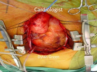 Cardiologist Dylan Green 
