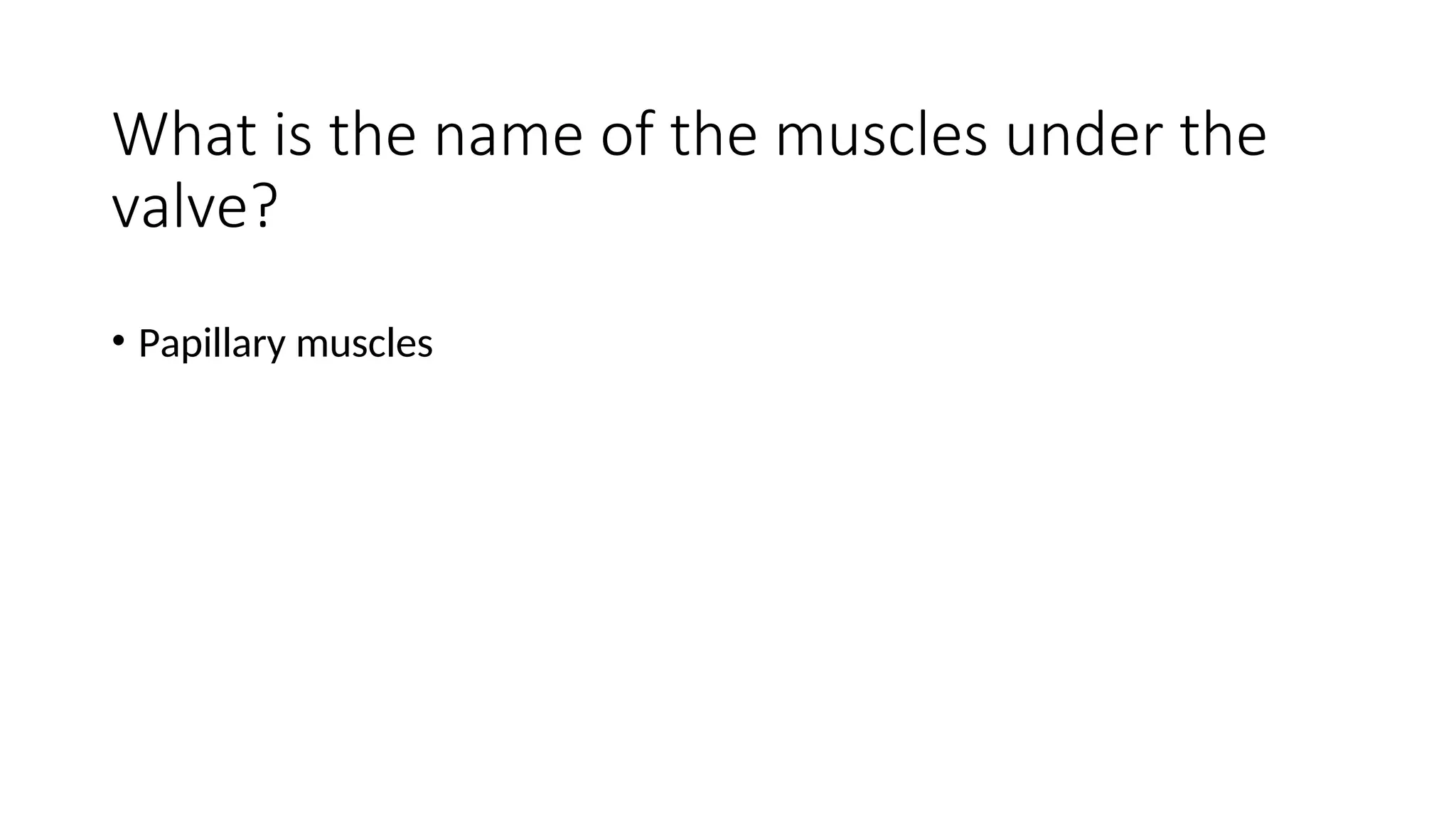 What is the name of the muscles under the
valve?
• Papillary muscles
 