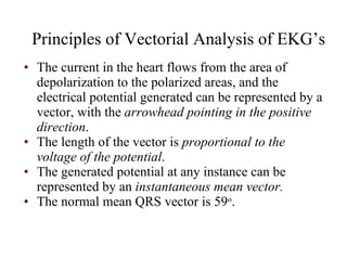 Cardiology Student Notes | PPT