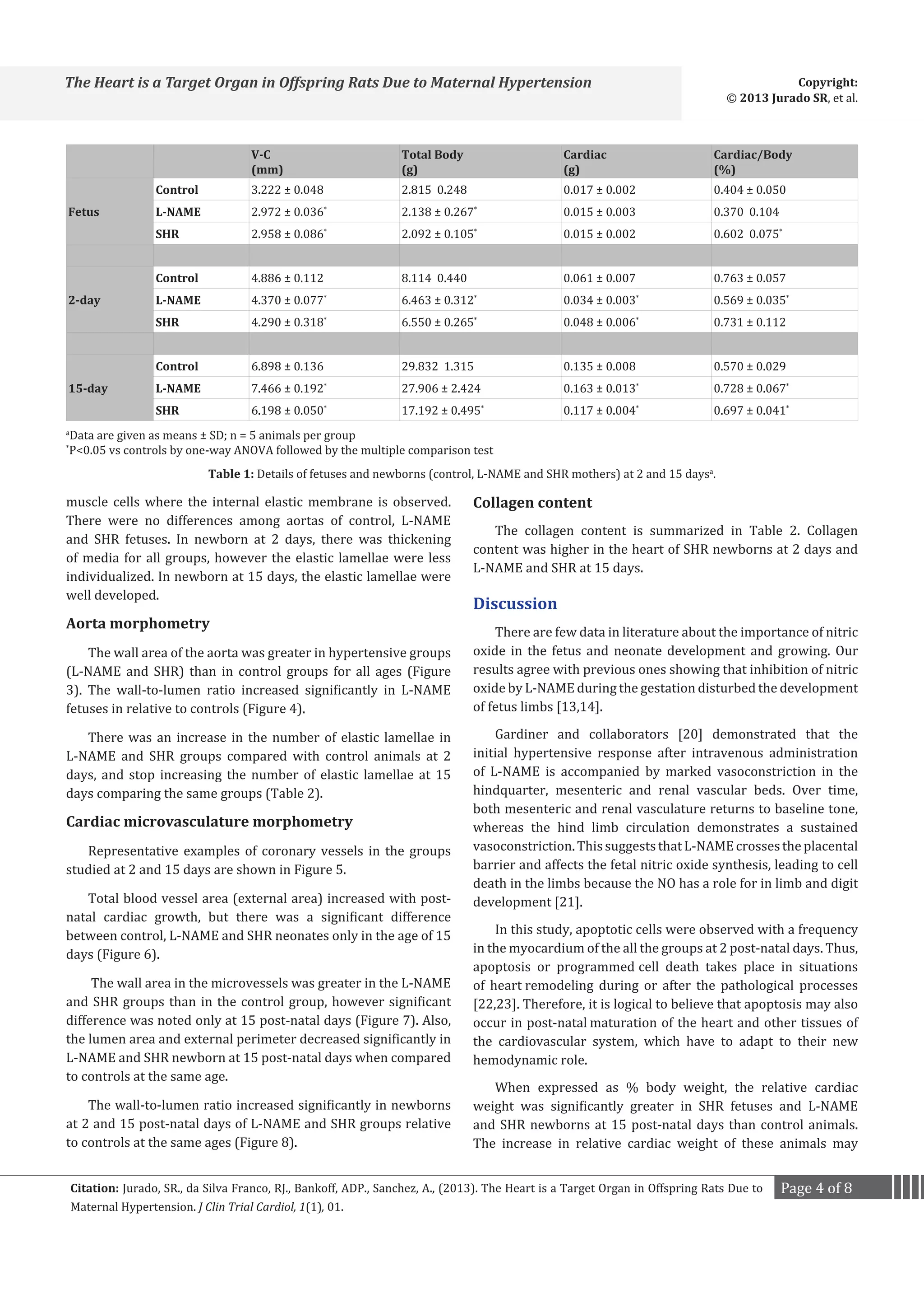 Copyright:
© 2013 Jurado SR, et al.

The Heart is a Target Organ in Offspring Rats Due to Maternal Hypertension

V-C
(mm)

3.222 ± 0.048

2.972 ± 0.036*

Control
Fetus

2.958 ± 0.086

L-NAME

*

SHR

4.886 ± 0.112

4.370 ± 0.077*

Control
2-day

4.290 ± 0.318

L-NAME

*

SHR

6.898 ± 0.136
7.466 ± 0.192

Control
15-day

L-NAME

6.198 ± 0.050*

2.815 0.248

2.138 ± 0.267*
2.092 ± 0.105
8.114 0.440

*

6.463 ± 0.312*
6.550 ± 0.265

*

29.832 1.315

27.906 ± 2.424

17.192 ± 0.495*

Data are given as means ± SD; n = 5 animals per group
P<0.05 vs controls by one-way ANOVA followed by the multiple comparison test

a
*

*

Total Body
(g)

SHR

Cardiac
(g)

Cardiac/Body
(%)

0.015 ± 0.002

0.602 0.075*

0.017 ± 0.002
0.015 ± 0.003
0.061 ± 0.007

0.034 ± 0.003*
0.048 ± 0.006

*

0.135 ± 0.008
0.163 ± 0.013

*

0.117 ± 0.004*

0.404 ± 0.050
0.370 0.104

0.763 ± 0.057

0.569 ± 0.035*
0.731 ± 0.112
0.570 ± 0.029

0.728 ± 0.067*
0.697 ± 0.041*

Table 1: Details of fetuses and newborns (control, L-NAME and SHR mothers) at 2 and 15 daysa.

muscle cells where the internal elastic membrane is observed.
There were no differences among aortas of control, L-NAME
and SHR fetuses. In newborn at 2 days, there was thickening
of media for all groups, however the elastic lamellae were less
individualized. In newborn at 15 days, the elastic lamellae were
well developed.

Aorta morphometry

The wall area of the aorta was greater in hypertensive groups
(L-NAME and SHR) than in control groups for all ages (Figure
3). The wall-to-lumen ratio increased significantly in L-NAME
fetuses in relative to controls (Figure 4).
There was an increase in the number of elastic lamellae in
L-NAME and SHR groups compared with control animals at 2
days, and stop increasing the number of elastic lamellae at 15
days comparing the same groups (Table 2).

Cardiac microvasculature morphometry

Representative examples of coronary vessels in the groups
studied at 2 and 15 days are shown in Figure 5.

Total blood vessel area (external area) increased with postnatal cardiac growth, but there was a significant difference
between control, L-NAME and SHR neonates only in the age of 15
days (Figure 6).
The wall area in the microvessels was greater in the L-NAME
and SHR groups than in the control group, however significant
difference was noted only at 15 post-natal days (Figure 7). Also,
the lumen area and external perimeter decreased significantly in
L-NAME and SHR newborn at 15 post-natal days when compared
to controls at the same age.

The wall-to-lumen ratio increased significantly in newborns
at 2 and 15 post-natal days of L-NAME and SHR groups relative
to controls at the same ages (Figure 8).

Collagen content

The collagen content is summarized in Table 2. Collagen
content was higher in the heart of SHR newborns at 2 days and
L-NAME and SHR at 15 days.

Discussion

There are few data in literature about the importance of nitric
oxide in the fetus and neonate development and growing. Our
results agree with previous ones showing that inhibition of nitric
oxide by L-NAME during the gestation disturbed the development
of fetus limbs [13,14].

Gardiner and collaborators [20] demonstrated that the
initial hypertensive response after intravenous administration
of L-NAME is accompanied by marked vasoconstriction in the
hindquarter, mesenteric and renal vascular beds. Over time,
both mesenteric and renal vasculature returns to baseline tone,
whereas the hind limb circulation demonstrates a sustained
vasoconstriction. This suggests that L-NAME crosses the placental
barrier and affects the fetal nitric oxide synthesis, leading to cell
death in the limbs because the NO has a role for in limb and digit
development [21].

In this study, apoptotic cells were observed with a frequency
in the myocardium of the all the groups at 2 post-natal days. Thus,
apoptosis or programmed cell death takes place in situations
of heart remodeling during or after the pathological processes
[22,23]. Therefore, it is logical to believe that apoptosis may also
occur in post-natal maturation of the heart and other tissues of
the cardiovascular system, which have to adapt to their new
hemodynamic role.
When expressed as % body weight, the relative cardiac
weight was significantly greater in SHR fetuses and L-NAME
and SHR newborns at 15 post-natal days than control animals.
The increase in relative cardiac weight of these animals may

Citation: Jurado, SR., da Silva Franco, RJ., Bankoff, ADP., Sanchez, A., (2013). The Heart is a Target Organ in Offspring Rats Due to
Maternal Hypertension. J Clin Trial Cardiol, 1(1), 01.

Page 4 of 8

 