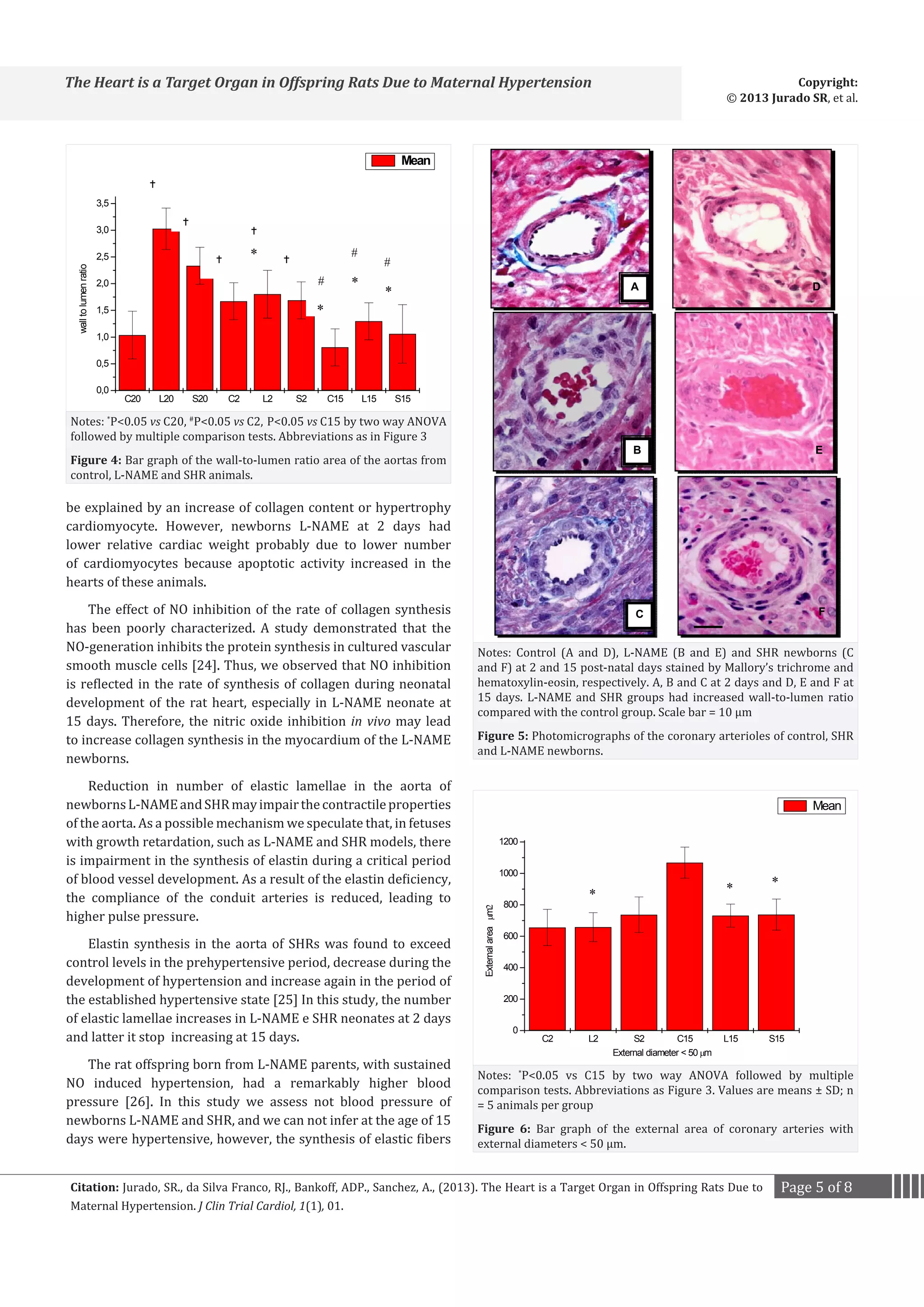 Copyright:
© 2013 Jurado SR, et al.

The Heart is a Target Organ in Offspring Rats Due to Maternal Hypertension

Mean

3,5



3,0



wall to lumen ratio

2,5

*



#



2,0
1,5

#

*

#

*

A
E

D
E

B

E

C

*

F

1,0
0,5
0,0

Notes: P<0.05 vs C20, P<0.05 vs C2, P<0.05 vs C15 by two way ANOVA
followed by multiple comparison tests. Abbreviations as in Figure 3
*

C20

L20

S20

#

C2

L2


S2

C15

L15

S15

Figure 4: Bar graph of the wall-to-lumen ratio area of the aortas from
control, L-NAME and SHR animals.

The effect of NO inhibition of the rate of collagen synthesis
has been poorly characterized. A study demonstrated that the
NO-generation inhibits the protein synthesis in cultured vascular
smooth muscle cells [24]. Thus, we observed that NO inhibition
is reflected in the rate of synthesis of collagen during neonatal
development of the rat heart, especially in L-NAME neonate at
15 days. Therefore, the nitric oxide inhibition in vivo may lead
to increase collagen synthesis in the myocardium of the L-NAME
newborns.

Reduction in number of elastic lamellae in the aorta of
newborns L-NAME and SHR may impair the contractile properties
of the aorta. As a possible mechanism we speculate that, in fetuses
with growth retardation, such as L-NAME and SHR models, there
is impairment in the synthesis of elastin during a critical period
of blood vessel development. As a result of the elastin deficiency,
the compliance of the conduit arteries is reduced, leading to
higher pulse pressure.

Elastin synthesis in the aorta of SHRs was found to exceed
control levels in the prehypertensive period, decrease during the
development of hypertension and increase again in the period of
the established hypertensive state [25] In this study, the number
of elastic lamellae increases in L-NAME e SHR neonates at 2 days
and latter it stop increasing at 15 days.
The rat offspring born from L-NAME parents, with sustained
NO induced hypertension, had a remarkably higher blood
pressure [26]. In this study we assess not blood pressure of
newborns L-NAME and SHR, and we can not infer at the age of 15
days were hypertensive, however, the synthesis of elastic fibers

Notes: Control (A and D), L-NAME (B and E) and SHR newborns (C
and F) at 2 and 15 post-natal days stained by Mallory’s trichrome and
hematoxylin-eosin, respectively. A, B and C at 2 days and D, E and F at
15 days. L-NAME and SHR groups had increased wall-to-lumen ratio
compared with the control group. Scale bar = 10 μm

Figure 5: Photomicrographs of the coronary arterioles of control, SHR
and L-NAME newborns.

Mean
1200
1000

External area µm

be explained by an increase of collagen content or hypertrophy
cardiomyocyte. However, newborns L-NAME at 2 days had
lower relative cardiac weight probably due to lower number
of cardiomyocytes because apoptotic activity increased in the
hearts of these animals.

*

*

800

*

600
400
200
0

C2

L2

S2
C15
External diameter  50 µm

L15

S15

Notes: *P0.05 vs C15 by two way ANOVA followed by multiple
comparison tests. Abbreviations as Figure 3. Values are means ± SD; n
= 5 animals per group
Figure 6: Bar graph of the external area of coronary arteries with
external diameters  50 µm.

Citation: Jurado, SR., da Silva Franco, RJ., Bankoff, ADP., Sanchez, A., (2013). The Heart is a Target Organ in Offspring Rats Due to
Maternal Hypertension. J Clin Trial Cardiol, 1(1), 01.

Page 5 of 8

 