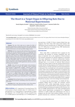www.symbiosisonline.org
www.symbiosisonlinepublishing.com

Symbiosis
Research Article

Journal of Clinical Trials in Cardiology

Open Access

The Heart is a Target Organ in Offspring Rats Due to
Maternal Hypertension
Sonia Regina Jurado1*, Roberto Jorge da Silva Franco2, Antonia Dalla Pria
Bankoff3, Andrea Sanchez3
2

1
Federal University of Mato Grosso do Sul, Brazil
Universidade Estadual Paulista Julio de Mesquita Filho, Brazil
3
Federal University of Mato Grosso do Sul, Brazil

Received: 29.10.2013, Accepted: 10.12.2013, Published: 16.12.2013
Corresponding author: Sonia Regina Jurado, Federal University of Mato Grosso do Sul, Tres Lagoas, Mato Grosso do Sul, Avenue Ranulpho Marques
Leal, Brazil, Tel: +55 67-3509-3714, E-mail: srjurado@bol.com.br
*

Abstract

Purpose: The aim of this study was to analyze the effect of
hereditary hypertension or induced by chronic nitric oxide inhibition
during pregnancy on the structural changes in rats fetal and neonate
coronary microvessels, aorta and myocardial collagen content.

Methods: Total nine sub-groups allocated from three main groups
of fetuses (20th d) and newborns (2nd and 15th d) offspring’s from
normotensive mothers (C, control), SHR (spontaneously hypertensive
rats) and L-NAME (Nω-Nitro-L-Arginine Methyl Ester) were studied.
Heart and aorta sections were stained with hematoxylin and eosin,
Mallory’s thichrome, Picrosirius red and periodic acid-Schiff reagent.
Pro-Plus image analysis system was used to assess the thickness of
aorta and myocardial vessels. The tunica media inner and outer
border was traced in each microvessel (external diameter < 50 µm)
image at x100 and, in aorta at x400 magnification, and areas encircled
by tracings were calculated.

Results: Aorta wall area and wall-to-lumen ratio increased in
hypertensive animals in all ages. The number of elastic lamellae
was increased in hypertension (L-NAME: 7.10±0.18, p<0.05 and
SHR: 7.45±0.17, p<0.05) at 2nd d compared to C (7.60±0.17). The
microvessels wall area was greater in hypertensive offspring at 15th
d. Lumen area and external perimeter decreased in both hypertension
models at 15th d. Wall-to-lumen ratio increased in hypertensive
at 2nd and 15th d. Collagen content (%) was higher in SHR at 2nd d
(0.74±0.02, p<0.05) and 15th d (2.53±0.04, p<0.05) and in L-NAME at
15th (2.25±0.04, p<0.05) versus C (0.61±0.02 at 2nd d and 2.12±0.05
at 15th d).
Conclusion: Maternal hypertension, as in the model L-NAME and
SHR, caused microvasculature remodeling in heart the neonate at 2
and 15 days.

Keywords: Nitric oxide; Microvasculature; Aorta; Myocardium;
Hypertension; Pregnancy; Morphometry; Fetus; Newborn; Rat

Abbreviations: ACE: Angiotension I Converting Enzyme; C20:
Control group at 20 post conception days; C2: Control group at 2
post-natal days; C15: Control group at 15 post-natal days; g: grams;
Kg: Kilograms; L20: L-NAME group at 20 post conception days;
L2: L-NAME group at 2 post-natal days; L15: L-NAME group at 15

Symbiosis Group

post-natal days; L-NAME: Nω-Nitro-L-Arginine Methyl Ester; mg:
milligrams; NO: Nitric Oxide; NOS: Nitric Oxide Synthase; S20:
SHR group at 20 post conception days; S2: SHR group at 2 post-natal
days; S15: SHR group at 15 post-natal days; SHR: Spontaneously
Hypertensive Rats; µm: micrometers

Introduction

Nitric oxide (NO) is synthesized from L-arginine by the
constitutive NO synthase in vascular endothelial cells, and
plays an important role in the regulation of blood pressure
and coronary vasomotion [1]. Normal pregnancy is associated
with major adaptations in maternal cardiovascular function,
which help the woman to accommodate the growing fetus.
Although there is an increase of maternal blood pressure
volume and cardiac output as well, the systemic blood pressure
actually declines during pregnancy [2]. Furthermore, pressure
responsiveness or vascular reactivity to several vasoconstrictors
is attenuated. This is probably due to the potential contribution
of nitric oxide to the vasodilator phenomena of pregnancy [3].
Preeclampsia constitutes the syndrome of vasoconstriction with
elevated arterial blood pressure, edema, proteinuria, kidney and
liver dysfunction, and intrauterine growth retardation [4,5]. The
vascular endothelium is stimulated during pregnancy to release
increased amounts of NO and the abnormality in the L-arginineNO pathway may play a role in the etiology of preeclampsia [3].
It is known that the administration of L-NAME (Nω-NitroL-Arginine Methyl Ester) in adult rats promotes arterial
hypertension [6,7], cardiac hypertrophy, myocytic necrosis,
perivascular and interstitial fibrosis and microvascular lumen
occlusion [8,9] and cardiomyocyte apoptosis [10]. However, low
dose of L-NAME administrated in rats under prolonged period
caused arterial hypertension accompanied by a significant
reduction in cardiac weight and cardiomyocyte size [11]. In
pregnant rats, this nitric oxide synthesis inhibitor causes fetal
growth restriction by a reduction in cellular proliferation due

*Corresponding author email: parsons@SDRMI.org, parsons@xcelthera.com

 