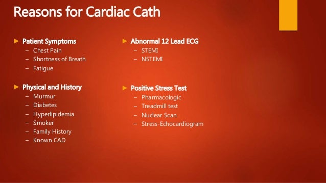test heart echo basics back Cardiology the to 101 test heart echo basics back Cardiology the to 101