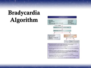 Bradycardia
 Algorithm
 