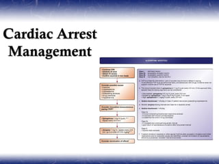 Cardiac Arrest
Management
 